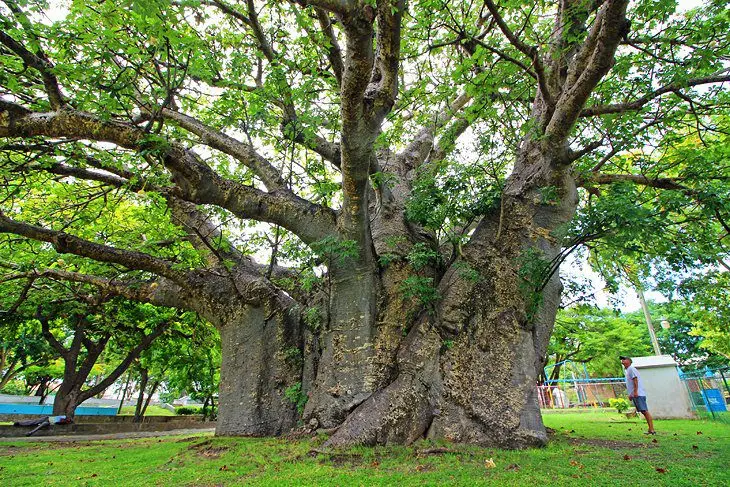 Barbados in Pictures: 19 Beautiful Places to Photograph