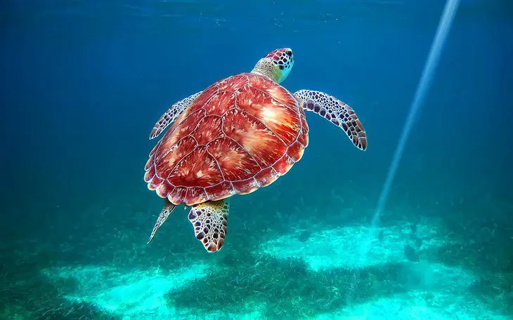 Belize in Pictures: 18 Beautiful Places to Photograph