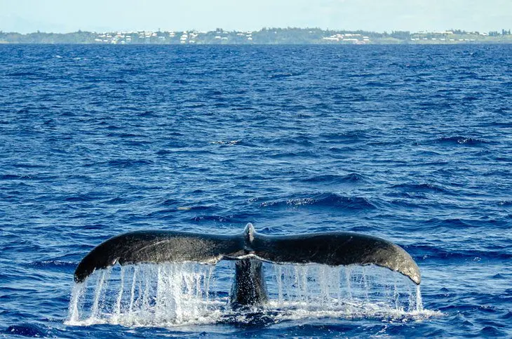 Bermuda in Pictures: 15 Beautiful Places to Photograph