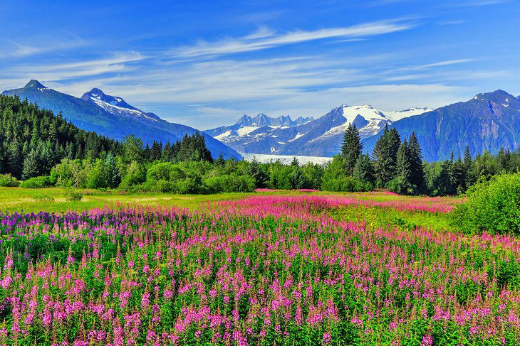 Best Time to Visit Alaska