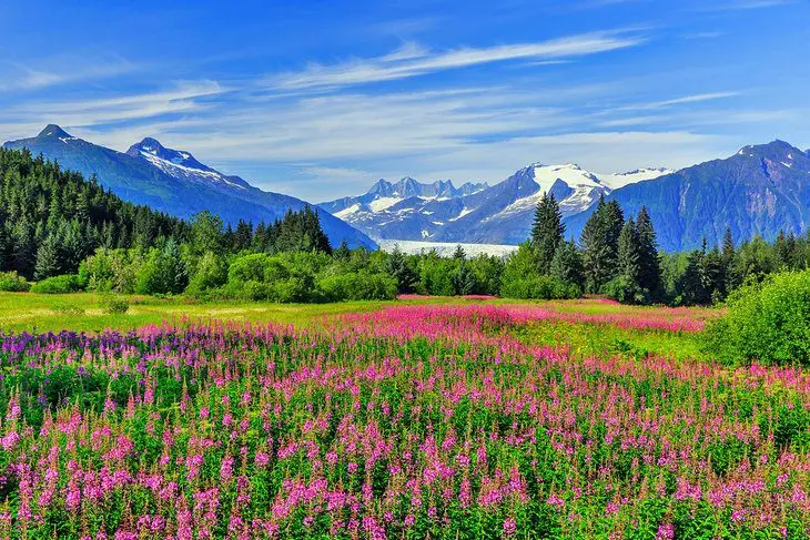 Best Time to Visit Alaska