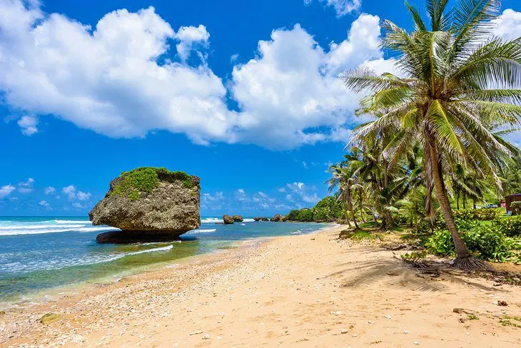 Best Time to Visit Barbados