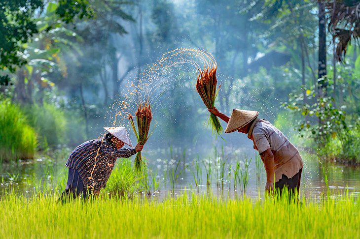 Best Time to Visit Cambodia