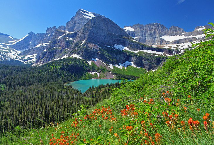 Best Time to Visit Glacier National Park, MT