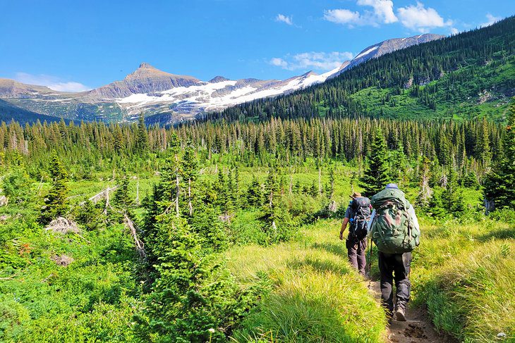 Best Time to Visit Glacier National Park, MT