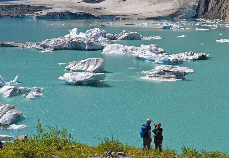 Best Time to Visit Glacier National Park, MT