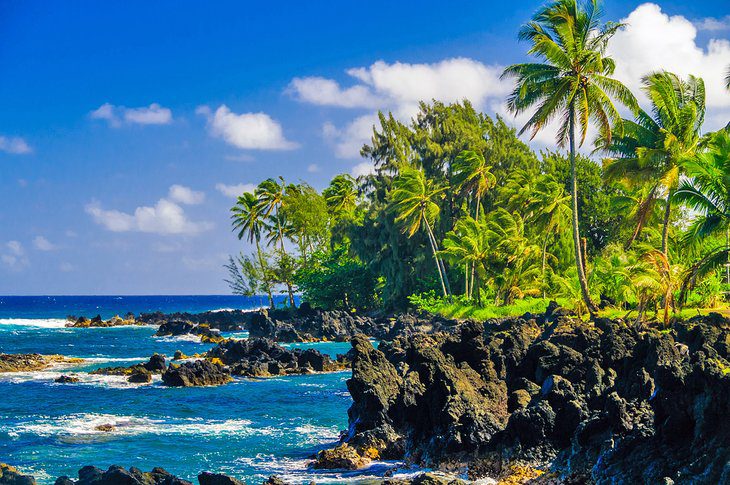 Best Time to Visit Hawaii