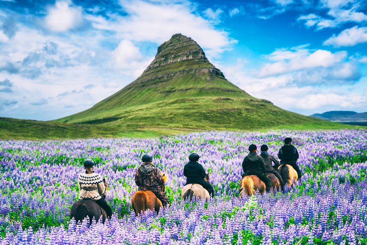 Best Time to Visit Iceland