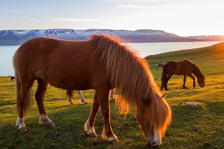 Best Time to Visit Iceland