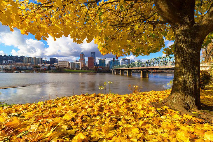 Best Time to Visit Portland, Oregon