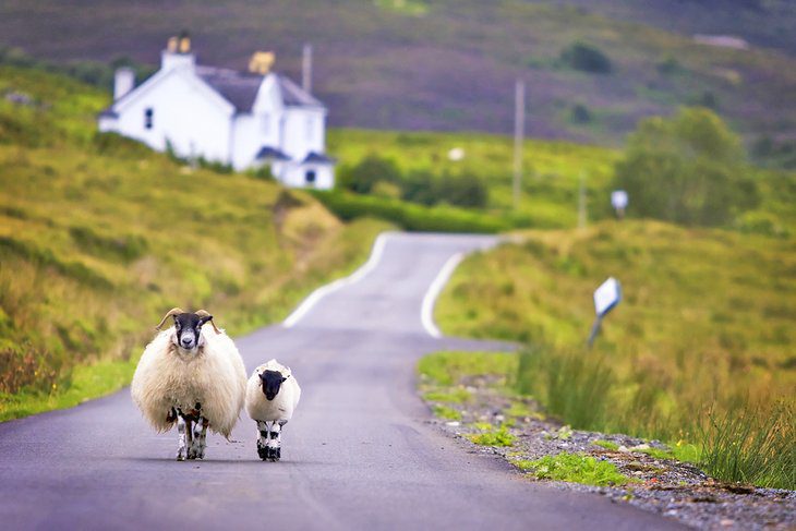 Best Time to Visit Scotland