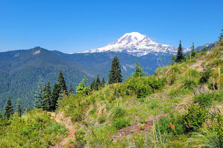 Best Time to Visit Seattle, WA