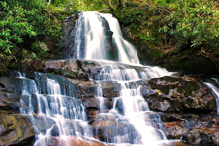 Best Time to Visit the Great Smoky Mountains