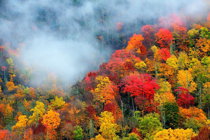 Best Time to Visit the Great Smoky Mountains