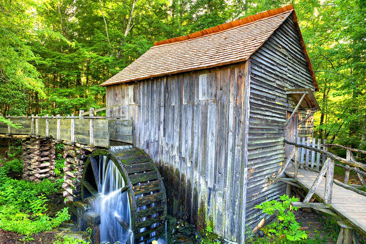 Best Time to Visit the Great Smoky Mountains