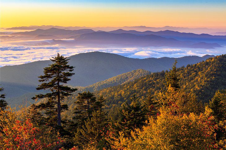 Best Time to Visit the Great Smoky Mountains