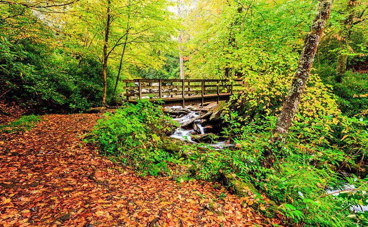 Best Time to Visit the Great Smoky Mountains