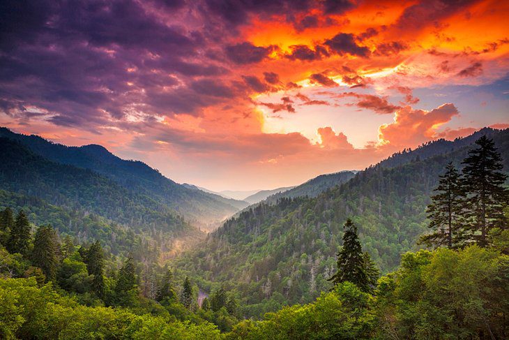 Best Time to Visit the Great Smoky Mountains