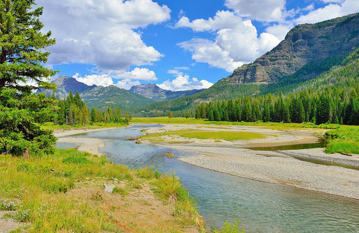 Best Time to Visit Yellowstone National Park