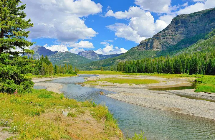 Best Time to Visit Yellowstone National Park