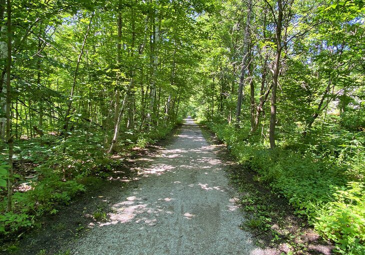 Biking the Ontario Rail Trails Network: What to Know & Where to Go