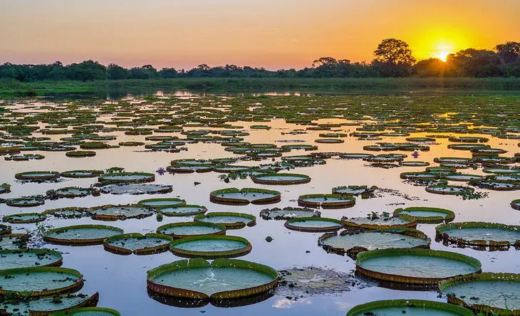 Brazil in Pictures: 19 Beautiful Places to Photograph