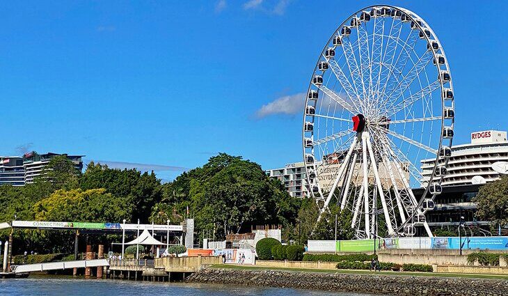 Brisbane with Kids: 15 Top Things to Do