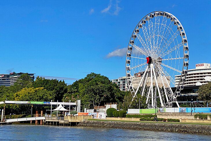 Brisbane with Kids: 15 Top Things to Do