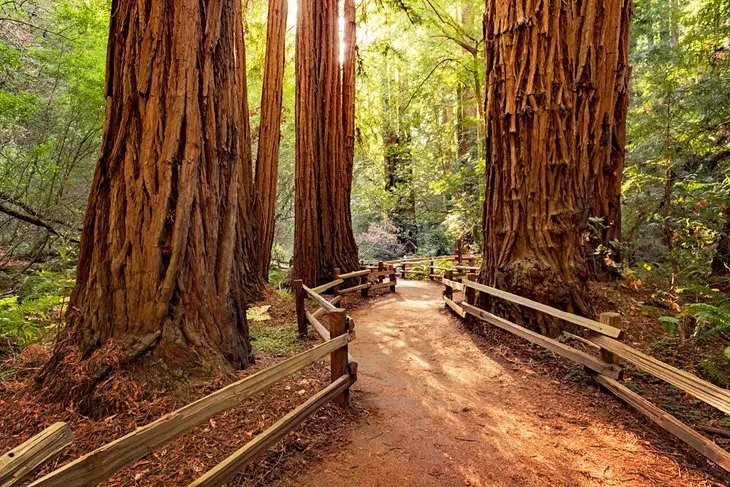 California in Pictures: 20 Beautiful Places to Photograph