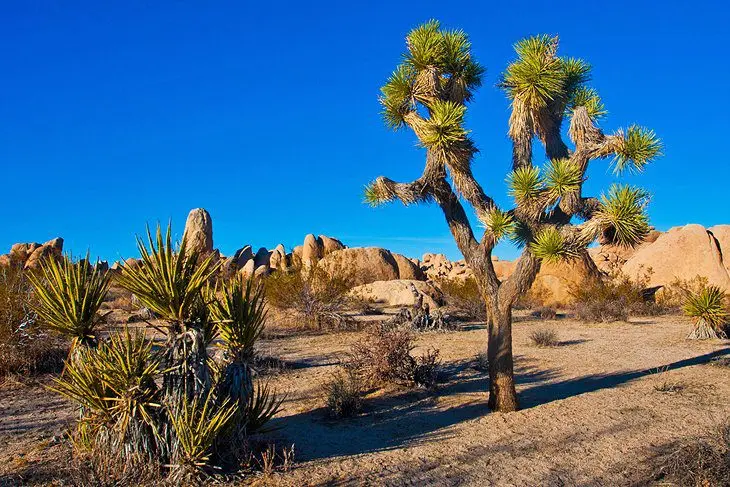 California in Pictures: 20 Beautiful Places to Photograph