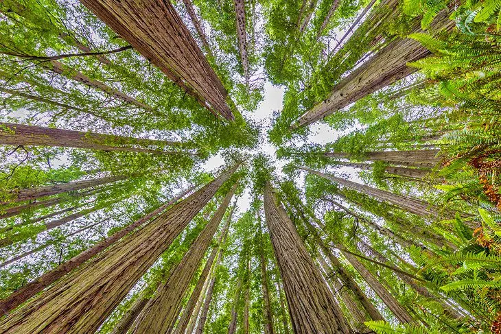 California in Pictures: 20 Beautiful Places to Photograph