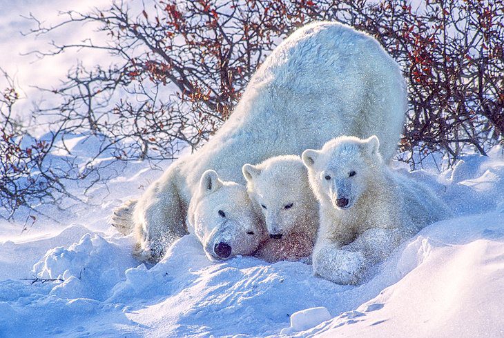 Canada in Pictures: 18 Beautiful Places to Photograph