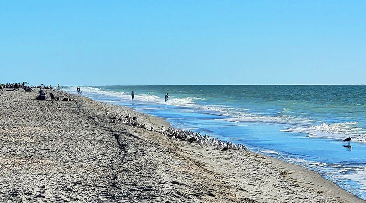 Captiva Island Beaches: 3 Best Access Points