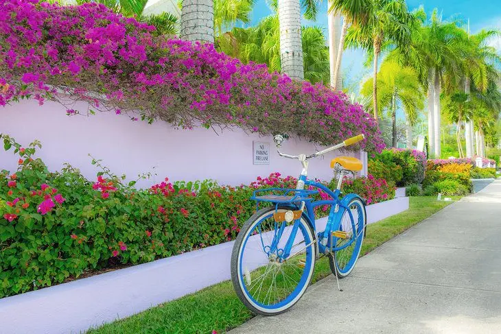 Cayman Islands in Pictures: 18 Beautiful Places to Photograph