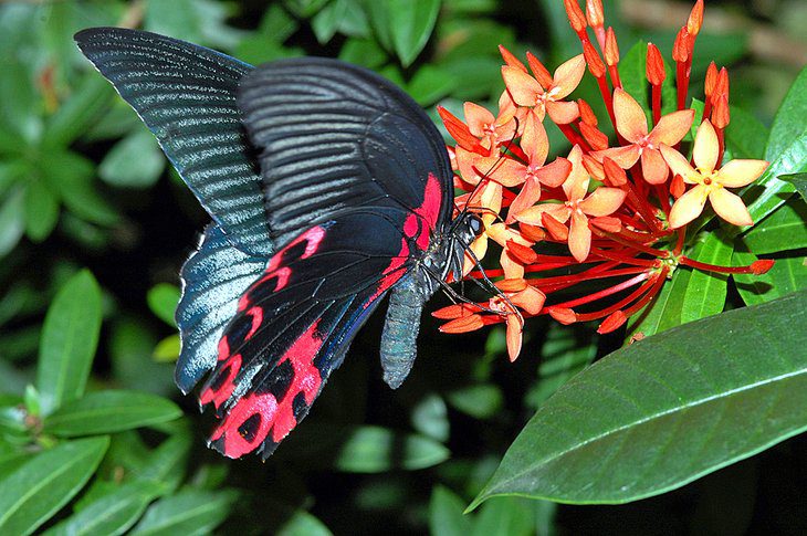 Cayman Islands in Pictures: 18 Beautiful Places to Photograph