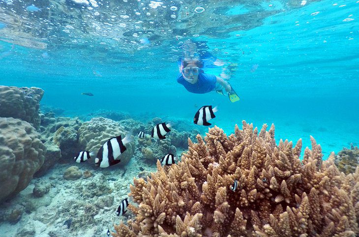 Cook Islands in Pictures: 19 Beautiful Places to Photograph