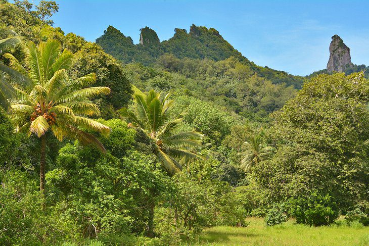 Cook Islands in Pictures: 19 Beautiful Places to Photograph