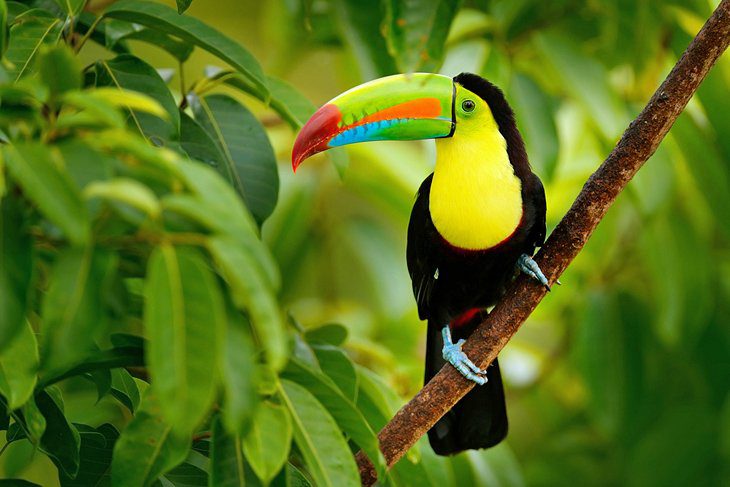 Costa Rica in Pictures: 15 Beautiful Places to Photograph