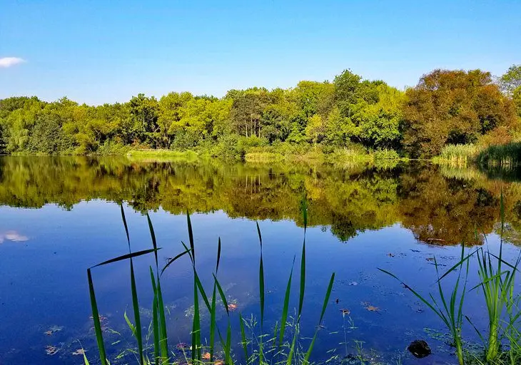 Delaware in Pictures: 21 Beautiful Places to Photograph