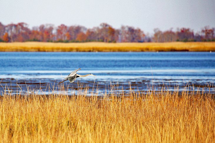 Delaware in Pictures: 21 Beautiful Places to Photograph