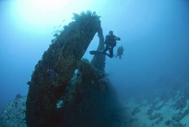 Diving in the Red Sea: 10 Best Dive Sites