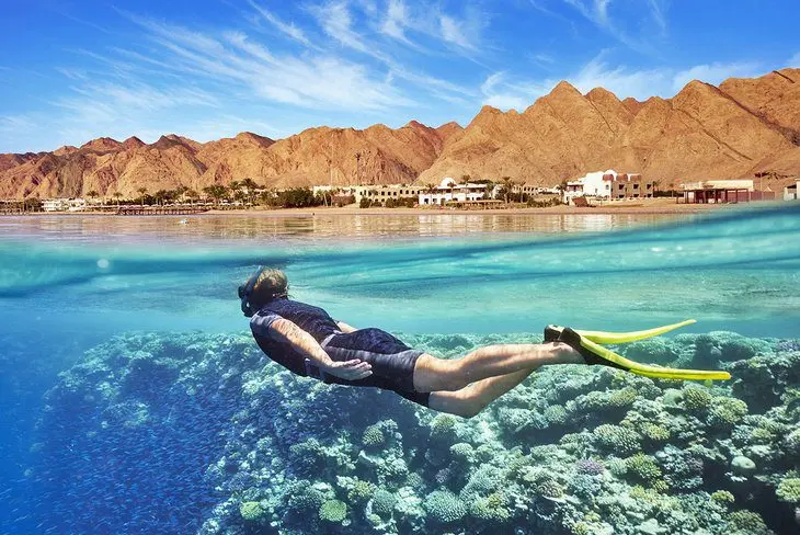 Diving in the Red Sea: 10 Best Dive Sites