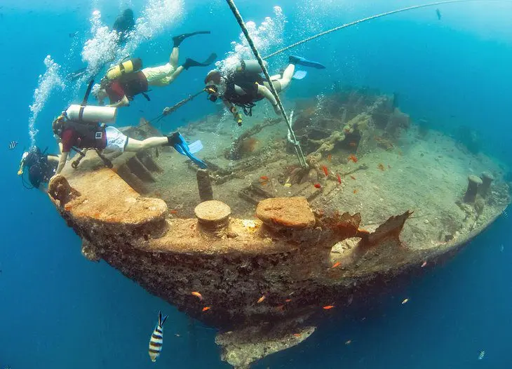 Diving in the Red Sea: 10 Best Dive Sites