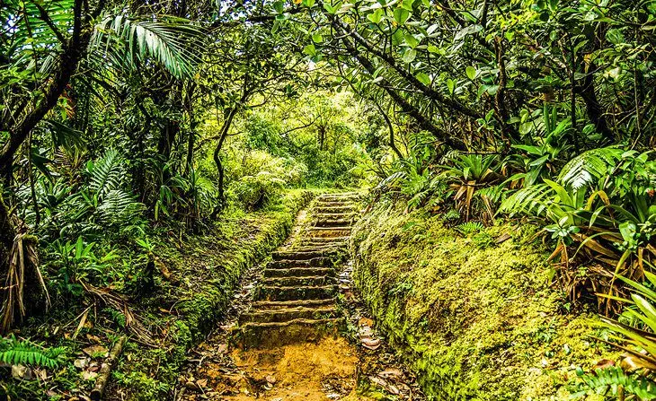 Dominica in Pictures: 17 Beautiful Places to Photograph