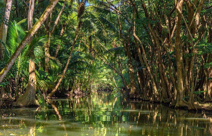 Dominica in Pictures: 17 Beautiful Places to Photograph