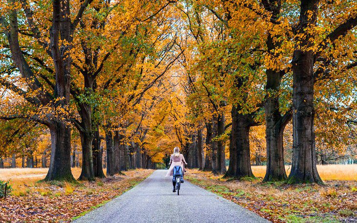 Exploring Hoge Veluwe National Park: A Visitors Guide