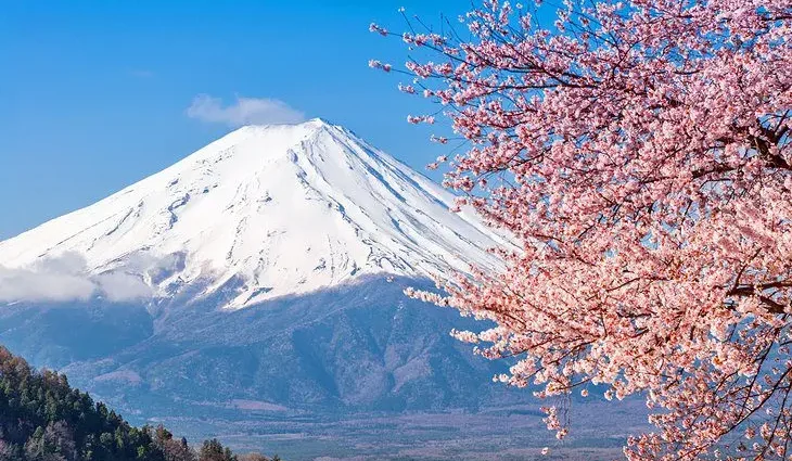 Exploring Mount Fuji: A Visitor&#8217;s Guide