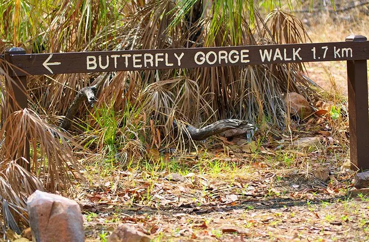 Exploring Nitmiluk National Park (Katherine Gorge)