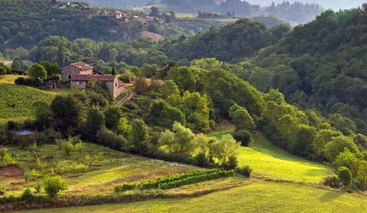 Exploring the Gorges de l&#8217;Ardèche: A Driving Tour