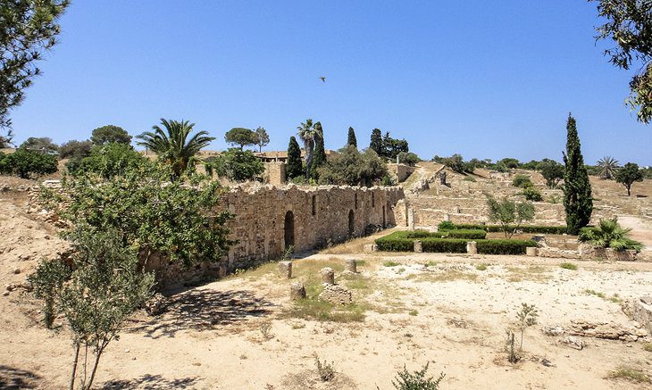 Exploring the Ruins of Ancient Carthage: A Visitors Guide